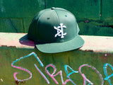 Siganture Snap-back in Forest Green